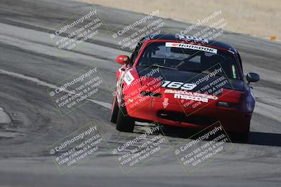 media/Oct-11-2025-Lucky Dog Racing (Sat) [[f5b53147c4]]/5-Fourth Stint/1-Turn 10/